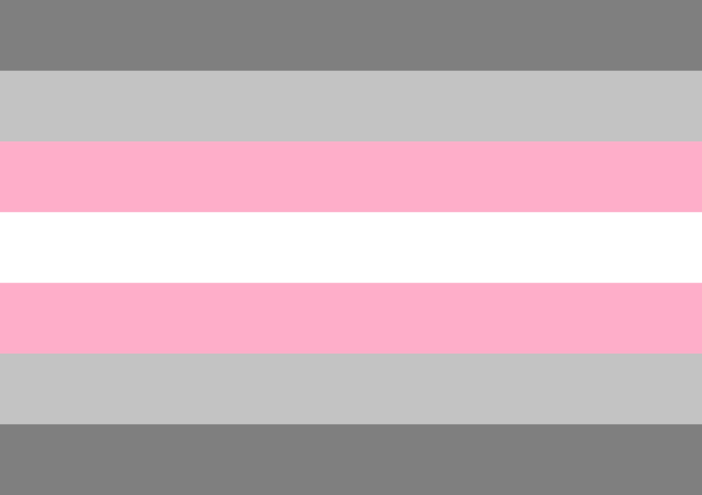 Demigirl Flag