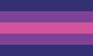 Genderbi Flag